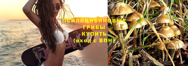 спиды Алзамай